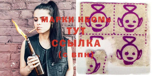 прущие грибы Елабуга