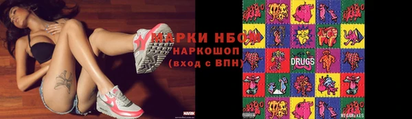 прущие грибы Елабуга