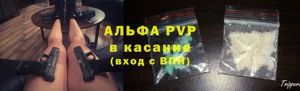 прущие грибы Елабуга