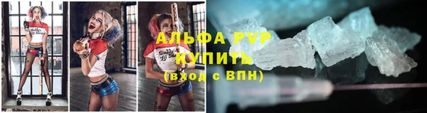 мяу мяу мука Рославль