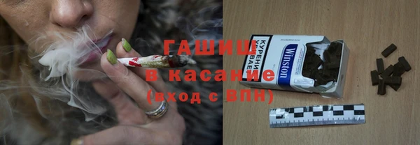 прущие грибы Елабуга
