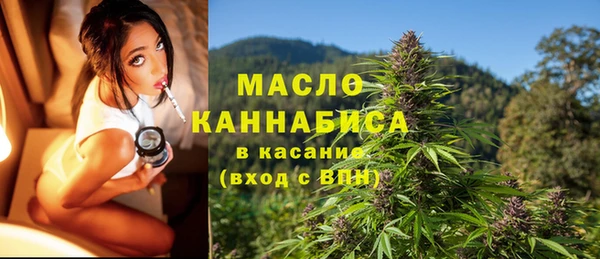 прущие грибы Елабуга