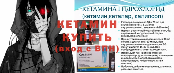 прущие грибы Елабуга