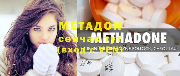 прущие грибы Елабуга