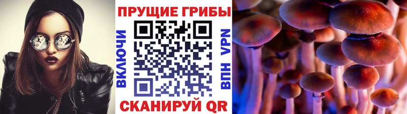 закладки  Северо-Курильск  Псилоцибиновые грибы прущие грибы 